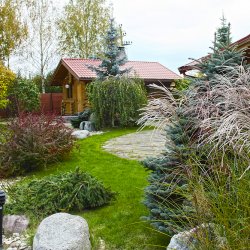 Ландшафтный проект дачного участка фото